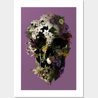 Skull Posters and Art